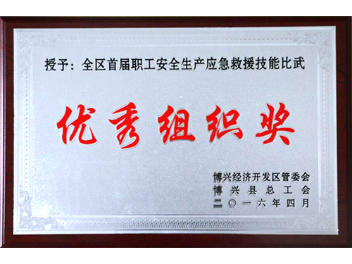 全区首届职工安全生产应急救援比武优秀组织奖